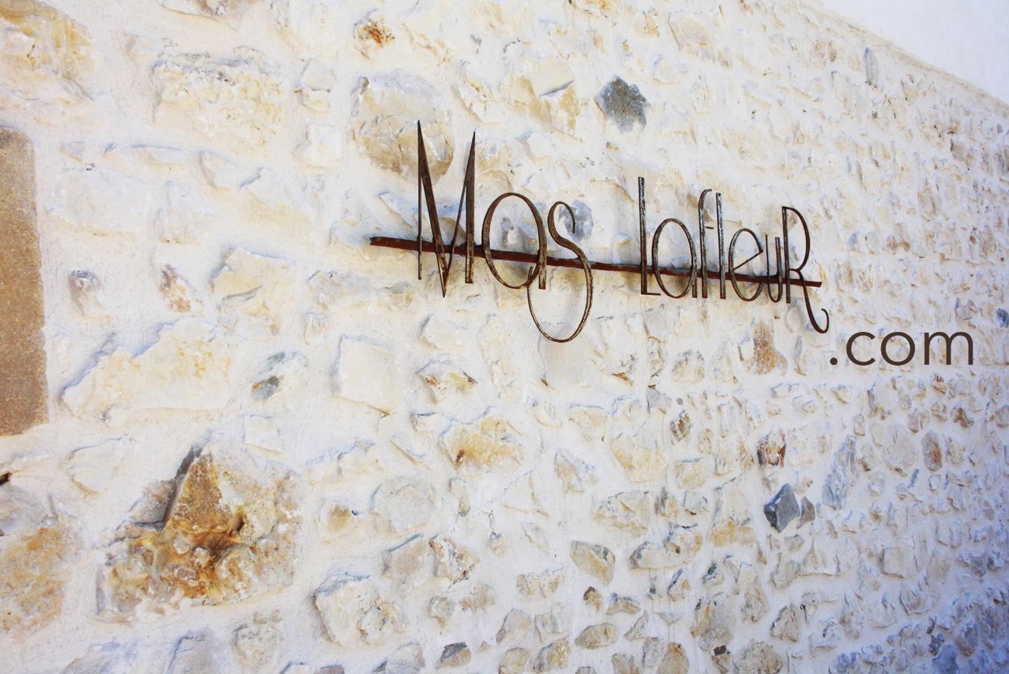 Mas Lafleur Bed & Breakfast Chateaurenard Bagian luar foto